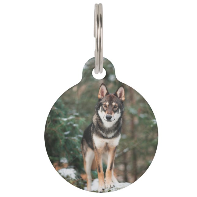 Wolfhond Huisdierpenning (Voorkant)
