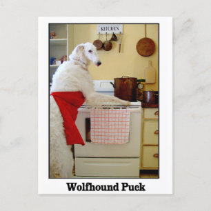 Wolfhound Puck Briefkaart