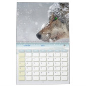 Wolfkalender Kalender (Jan 2027)