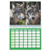 Wolfkalender Kalender (Mar 2027)