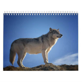 Wolfkalender Kalender
