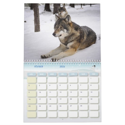 Wolfkalender Kalender (Feb 2026)