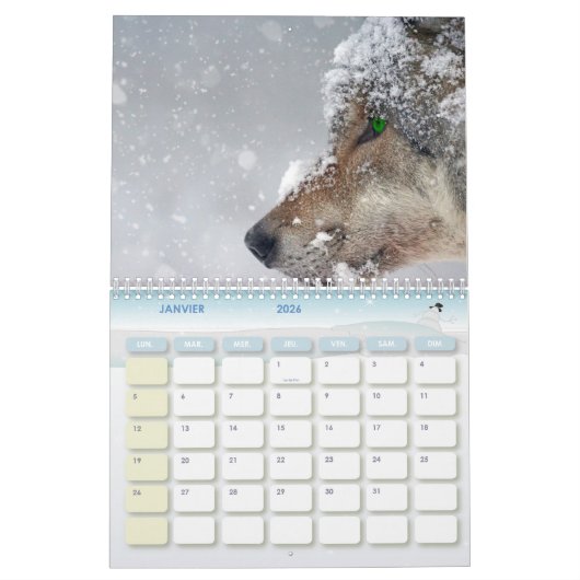 Wolfkalender Kalender (Jan 2026)