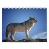 Wolfkalender Kalender (Hoes)