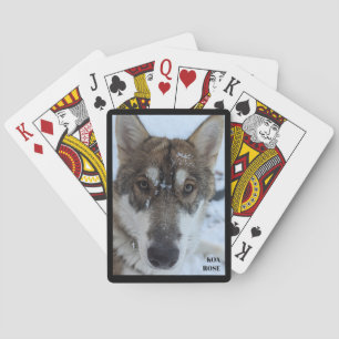 Wolfnaam speelkaartjes pokerkaarten