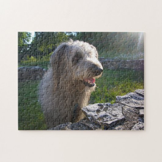 Wolfound Poodle Mix in Sunlit Pasture Legpuzzel (Horizontaal)