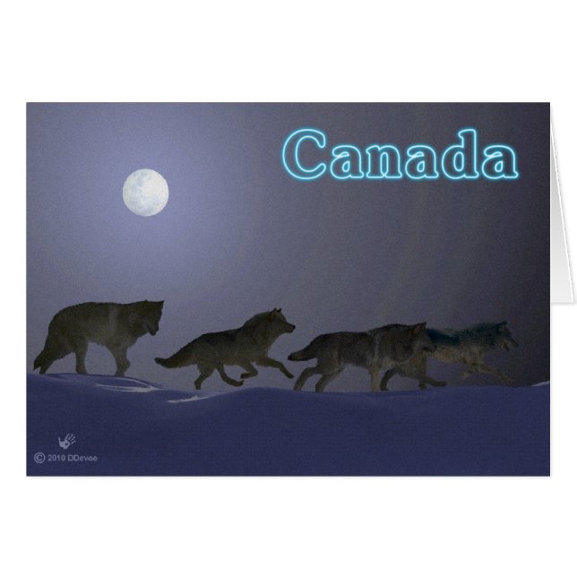 Wolfpack (Voorkant Horizontaal)