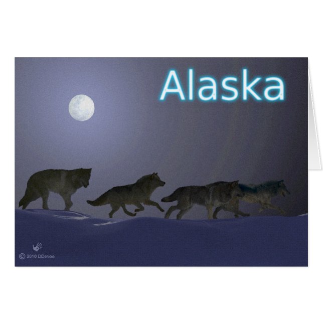 Wolfpack (Voorkant Horizontaal)