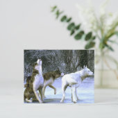 wolfpack briefkaart (Staand voorkant)