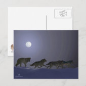 Wolfpack Briefkaart (Voorkant / Achterkant)