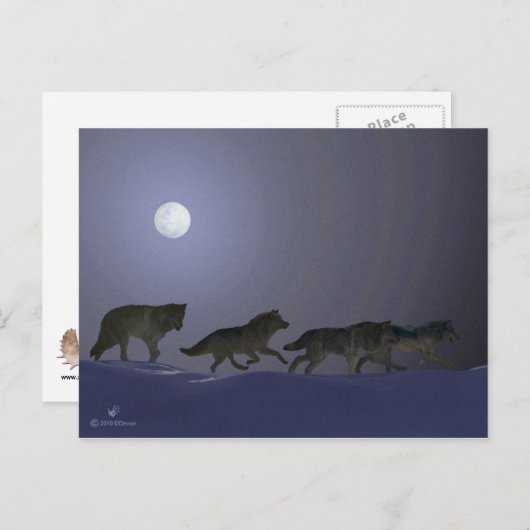 Wolfpack Briefkaart (Voorkant / Achterkant)