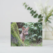 wolfpop briefkaart (Staand voorkant)