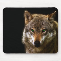 Wolfprofiel met groene ogen ~ bewerkbare achtergro