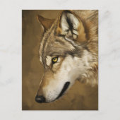Wolfs Keen Gaze Briefkaart (Voorkant)