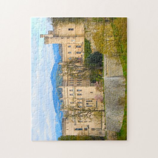 Wolfsberg Castle Duitsland. Legpuzzel (Verticaal)