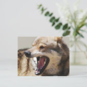 Wolfskanonnen Briefkaart (Staand voorkant)