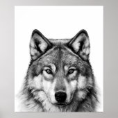 Wolfskop Portret Zwart wit Poster (Voorkant)