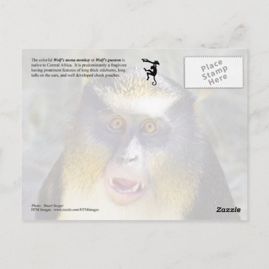 Wolfsmona (Guenon) Briefkaart (Achterkant)