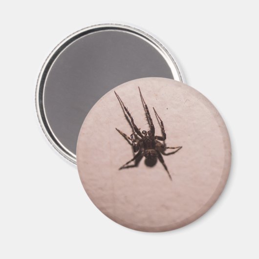 Wolfspin Magneet (Voorkant / Achterkant)
