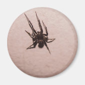 Wolfspin Magneet (Voorkant)