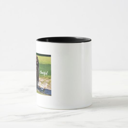 Wolfsspitz Dogs Breed Traits Mok (Midden)