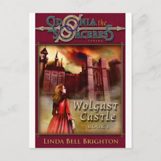 Wolgast Castle Briefkaart