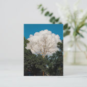 Wolk Boom Plat Kaart (Staand voorkant)
