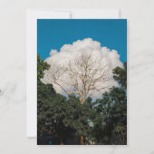 Wolk Boom Plat Kaart (Voorkant)