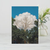 Wolk Boom Plat Kaart (Staand voorkant)