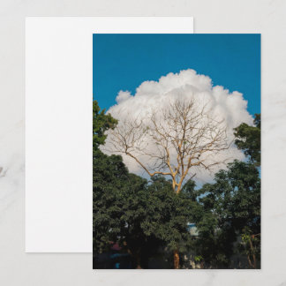 Wolk Boom Plat Kaart