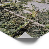 Wolken boven Mount Rainier Schitterend Landschap Poster (Hoek)