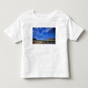 Wolken die over de lucht vegen boven de kinder shirts
