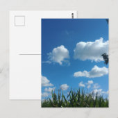 Wolken en blauwe hemel briefkaart (Voorkant / Achterkant)