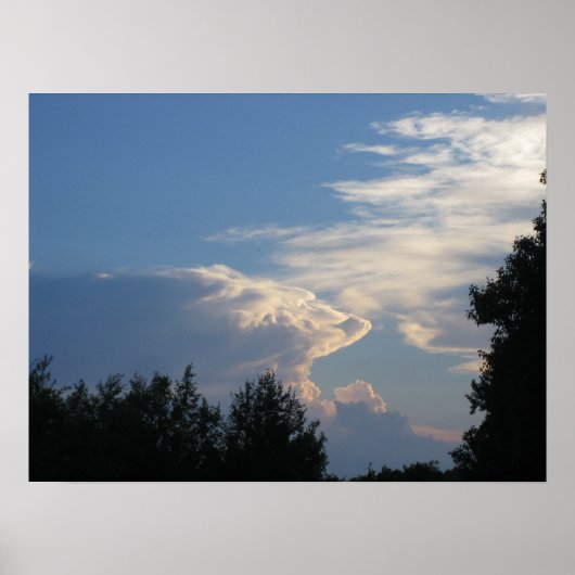 Wolken en Bomen Poster (Voorkant)
