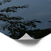 Wolken en Bomen Poster (Hoek)