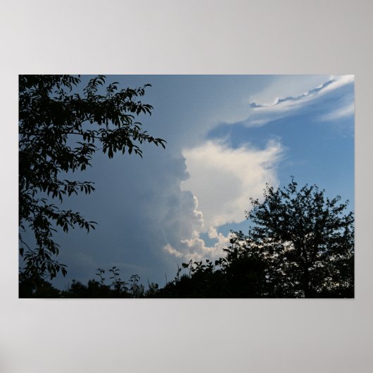 Wolken en Bomen Poster (Voorkant)