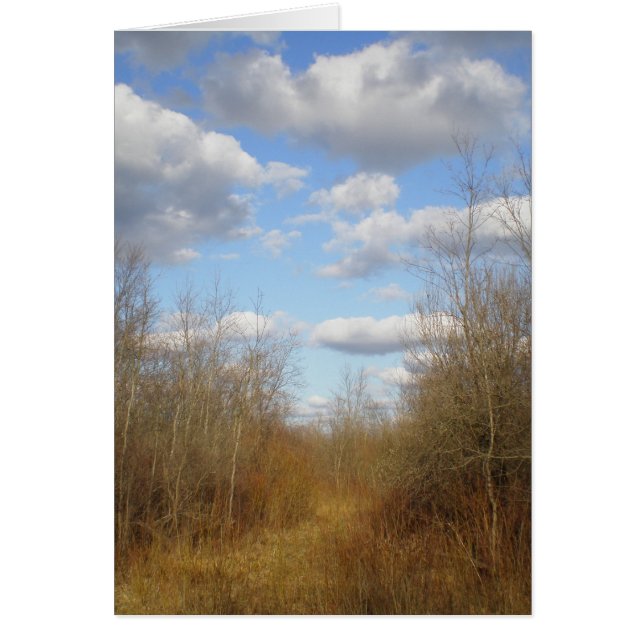 "Wolken in de lente boven de laan" (Voorkant)