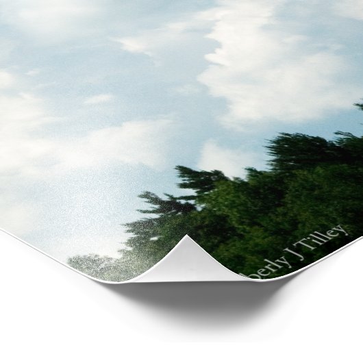 Wolken ontmoeten bomen foto afdruk (Hoek)