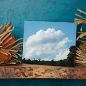 Wolken ontmoeten bomen fotoplaat (Zijkant)