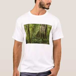 Wolkenbos, Bosque de Paz, Costa Rica T-shirt