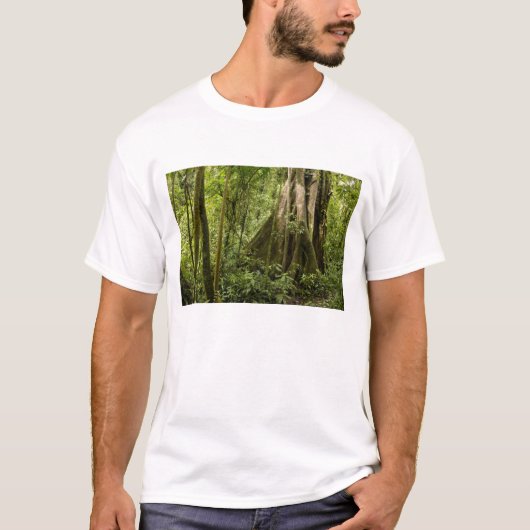 Wolkenbos, Bosque de Paz, Costa Rica T-shirt (Voorkant)