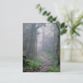 Wolkenbos, Mt. Kilimanjaro, Tanzania Briefkaart (Staand voorkant)