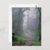 Wolkenbos, Mt. Kilimanjaro, Tanzania Briefkaart (Voorkant / Achterkant)