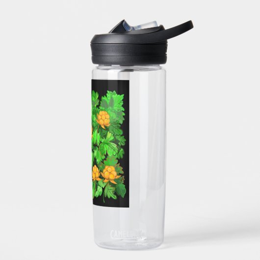 Wolkenbramen Waterfles (Links)