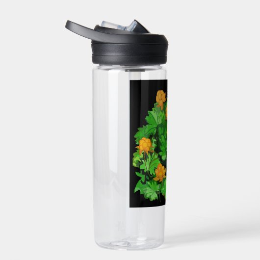 Wolkenbramen Waterfles (Rechts)