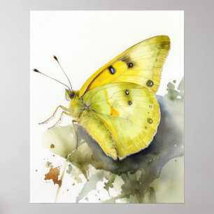Wolkenloze Zwavel Vlinder Art Print Poster