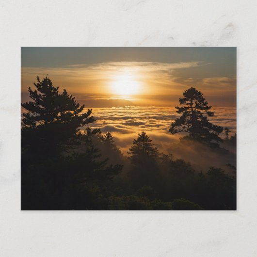 Wolkenmeer mit Sonnenuntergang Briefkaart (Voorkant)