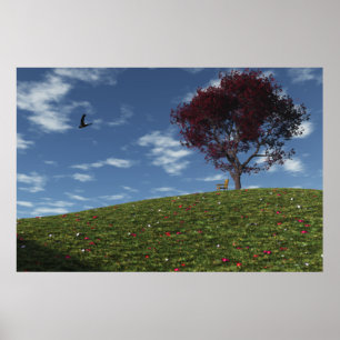 Wolkens Zeilen Bij Print