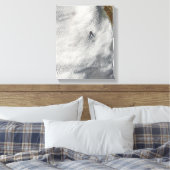 Wolkenvorken en glorie van Guadalupe Island Canvas Afdruk (Insitu (Slaapkamer))