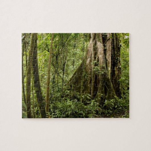 Wolkenwoud, Peace Rain Forest, Costa Rica Legpuzzel (Horizontaal)